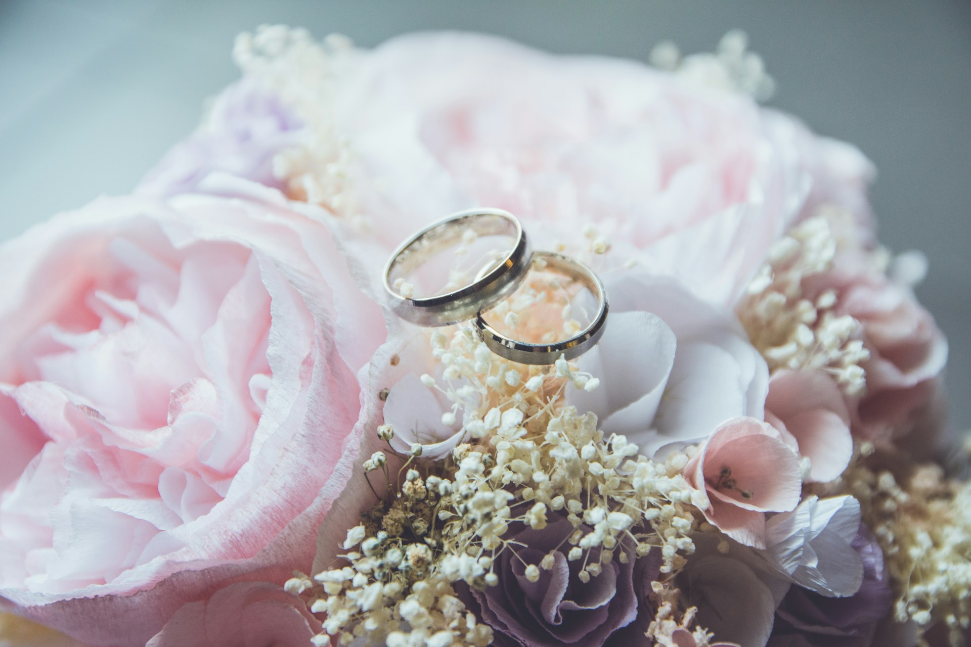 A set of rings on a flower bed