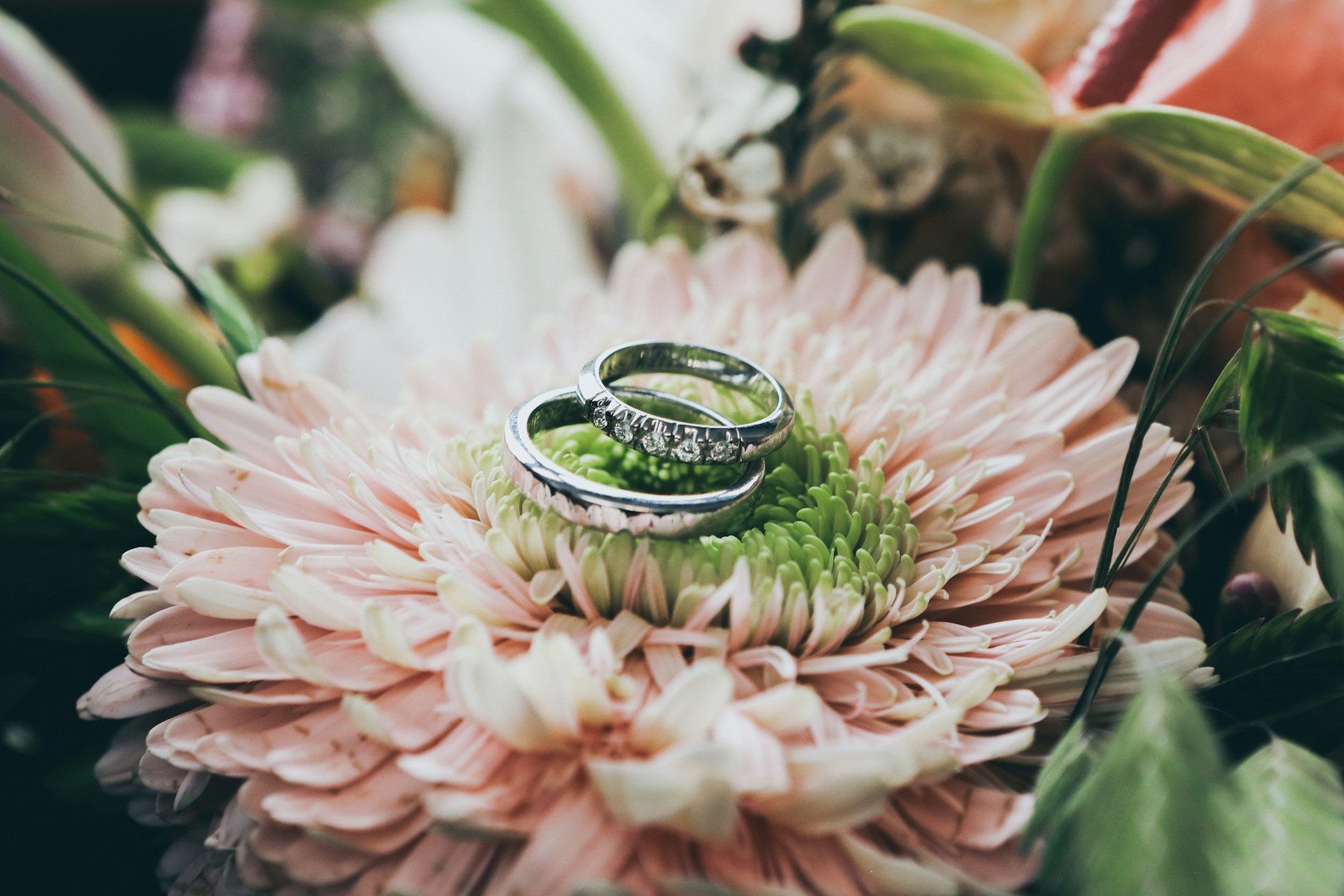 Rings on a flower